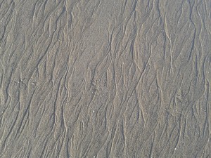ridules de sable